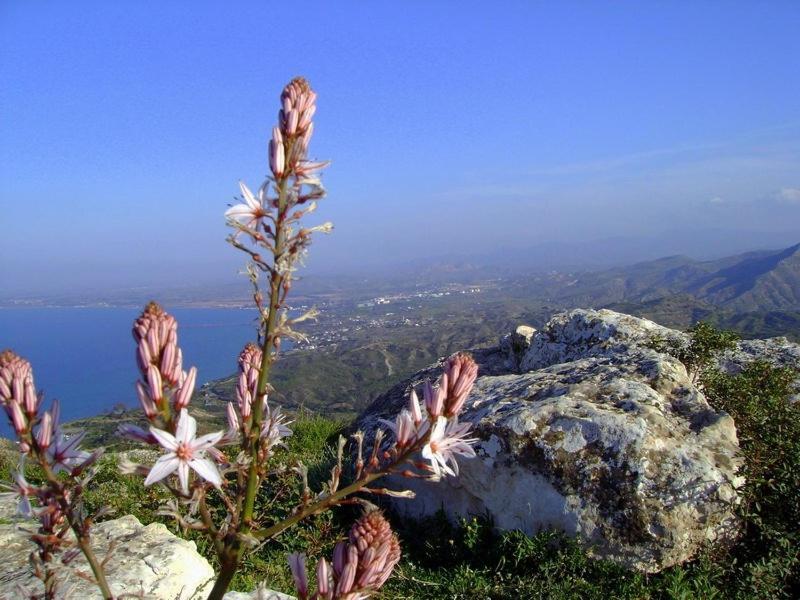 Lefka  Velmer Hotel المظهر الخارجي الصورة